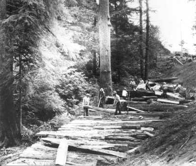 Construction of Redwood Highway, US 101 north of San Francisco