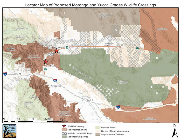 Rte 62 Wildlife Crossings
