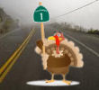 userpic=turkey,turkeys